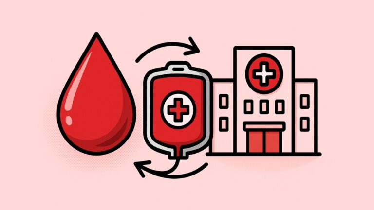 Co dzieje się z krwią po oddaniu? Proces od donacji do szpitala